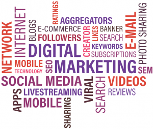 Denver SEO Consultant, Consultants and Integrated Digital Marketing | Denver SEO Consultants