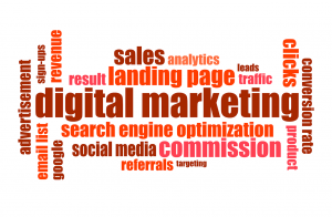 Digital marketing results driven by an effective SEO Consultant